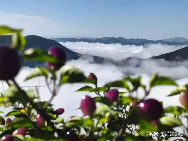 旅居祥云 | 东山乡：山水入画，自在呼吸