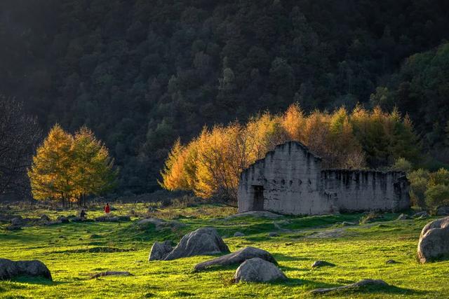 谁说秋天只有凋零?紫柏山两日游攻略来了!