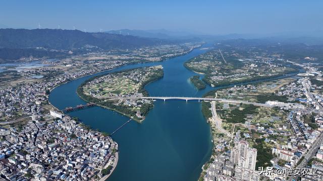 广西融安：冬日融江生态美