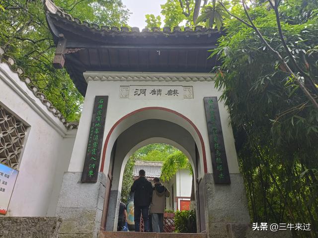 无为在歧路，2025之经行