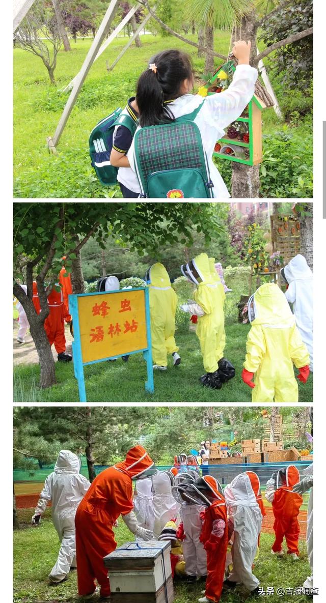 百草园探秘之旅:看蜜蜂、赏标本、听音乐会,快乐值拉满