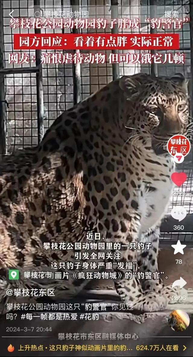 美疯了！高铁直达“四川小三亚”，花海开爆！草莓按盆吃，烧烤香迷糊！