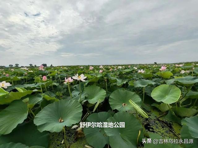 边门、驿站、黄鱼圈、珠山、湿地公园——舒兰市法特镇的文旅资源