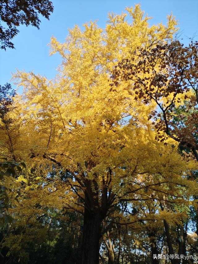 无意间发现了一座禅寺，竟然这么美