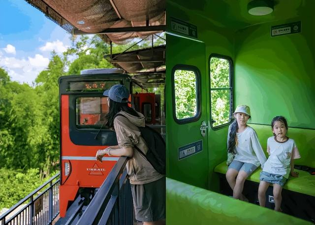 在竹尖上飞行！全网最全尖叫玩法攻略！