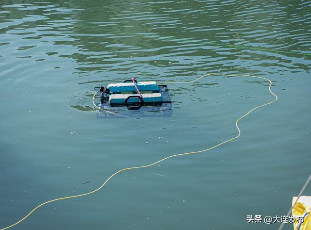 机器人抓海鲜，开赛