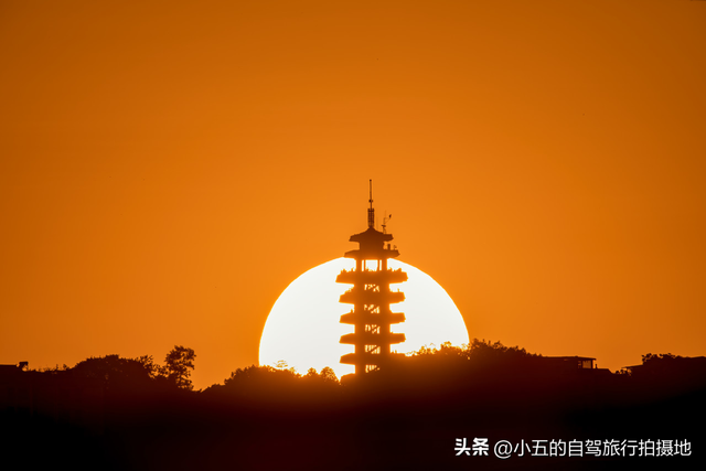 重庆鹅岭隐藏玩法曝光：从早到晚的山城魔幻之旅