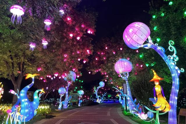 避开人潮!十一来世界花卉大观园,沉浸式解锁“N”种游玩方式