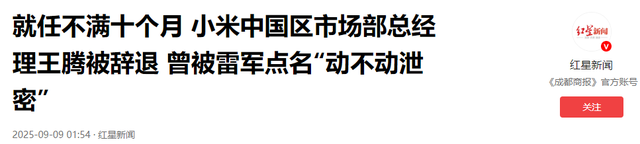 一天5个瓜！小米曝王腾泄密被辞，顶流赌博、姐夫出轨、个个离谱
