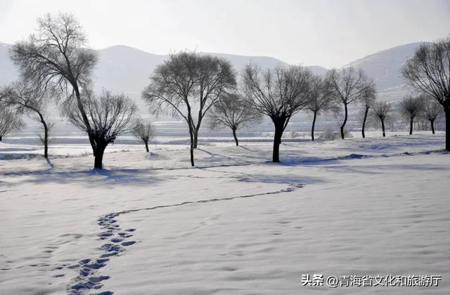 青海初冬：静谧藏诗意，温柔入画来