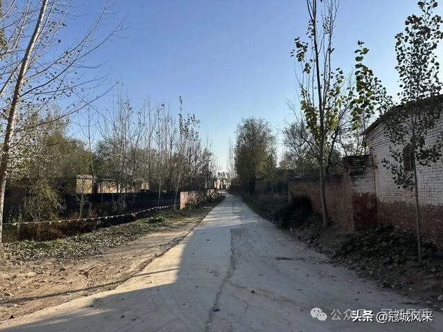 冠县乡韵·贾镇洼里村