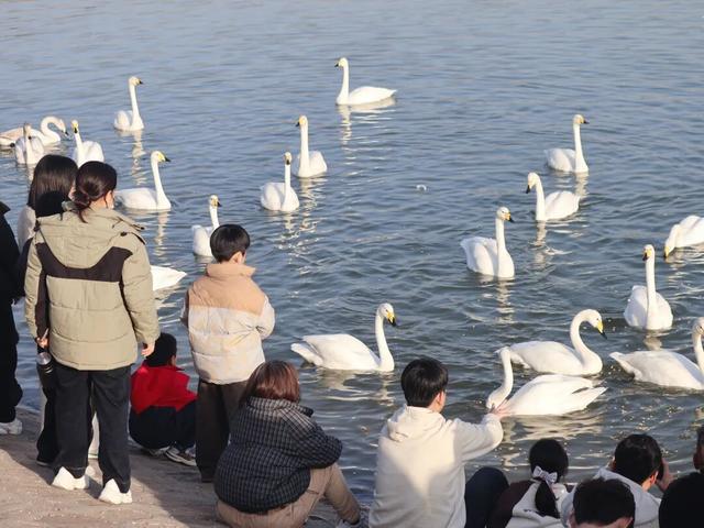 冬日周六晴好，邂逅热闹苍龙湖