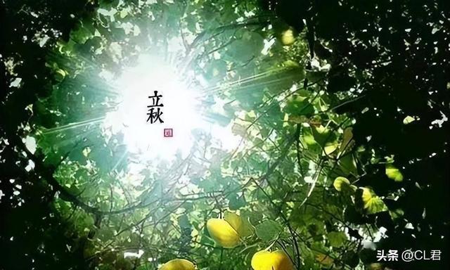 “热不热，看立秋”，今日13点51分立秋，今年秋天热到哭？了解下