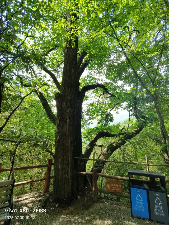 林壑听涛逢旧雨 溪声松语话流年