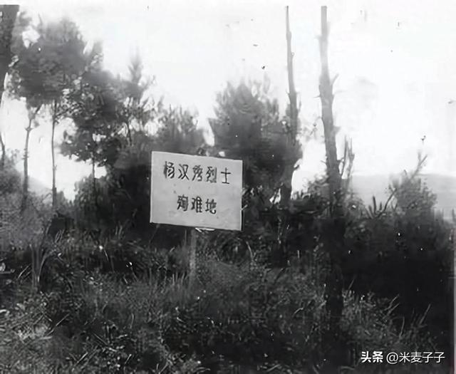 挖出戴手铐的女遗骨，鉴定后确定，她就是中央苦苦寻找的人！