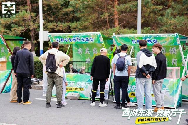 要爆了~你的假期朋友圈素材不能没有它！