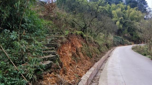 重庆荒效野岭发现大量石碑，碑身高大雕工精美，每块都有百年历史