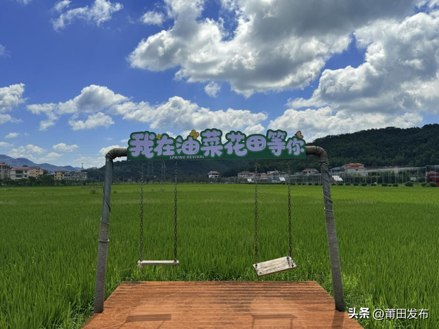 莆田仙游南兴村，稻田里藏着四季童话