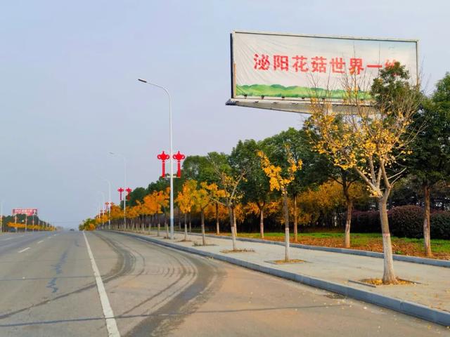 近日，铜山湖大道变了样......