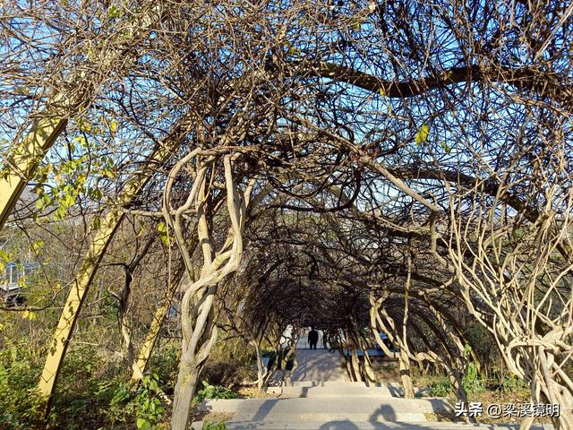 大雪时节，游汤山古猿人洞