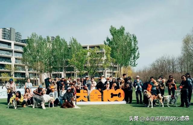 消费潜能激发：北戴河新区小众经济成增长引擎