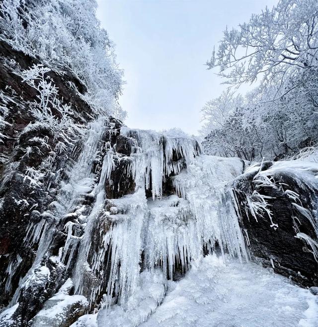 大雪将连下四天！明月山“超长待机”雪季来啦！
