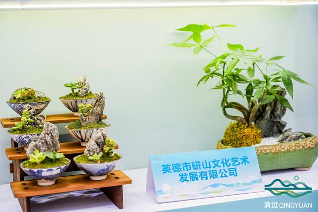 “湾区花园 福地清远”盛装亮相2025广东旅博会