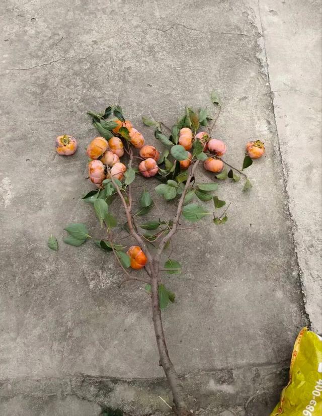 10月，「需要另一个同类」