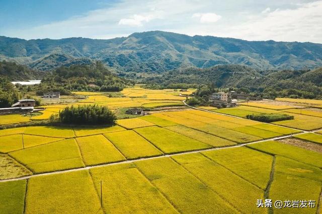 龙岩周末去哪儿｜秋的余温，藏在龙岩这些地方→