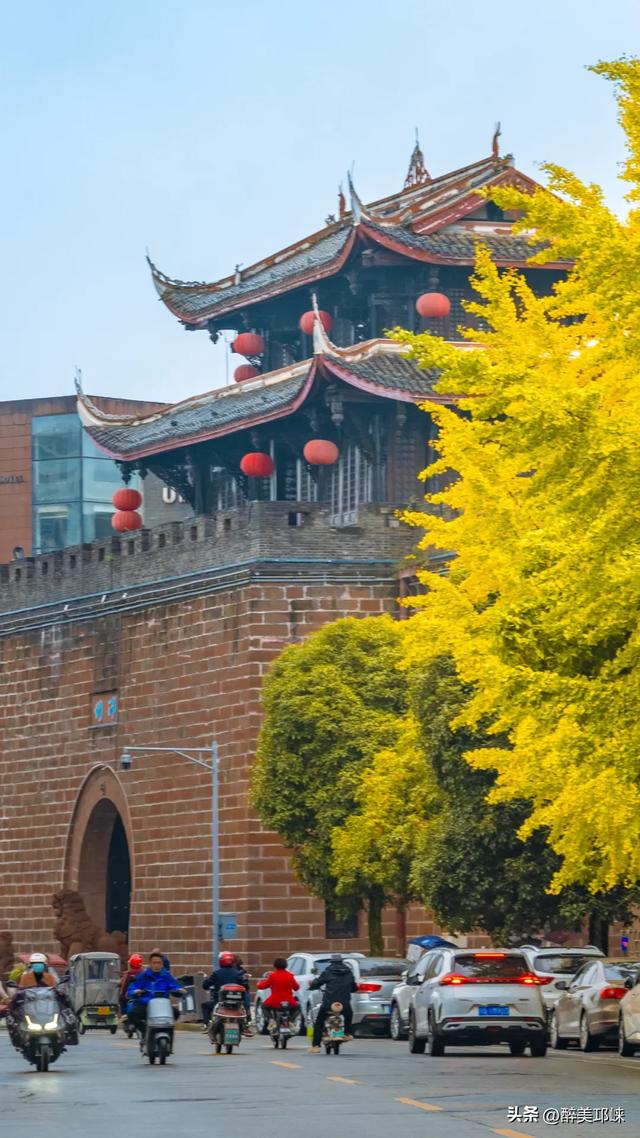 临邛古城银杏季，从浅黄到满树的鎏金，阳光温柔绵长