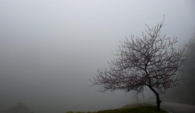 拒观光游内卷！大雄在贵州创新，“一人一技”成爆款