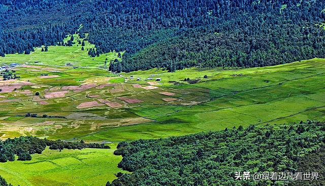 《八进西藏》空中俯瞰林海牧歌里，藏着鲁朗的宁静