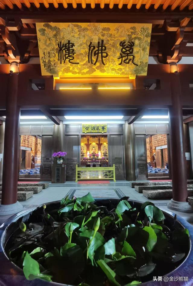 从厦门到漳浦诞生此行第一胎 品美味河豚 双龙连续第三年千里双骑9