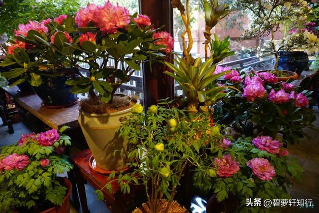 游杭州钱王祠:“钱塘自古繁华”由他开辟