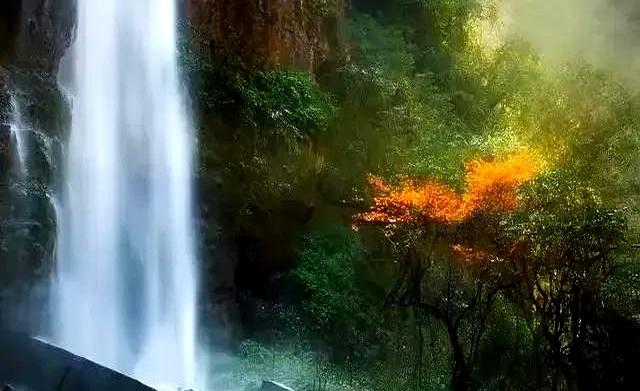 一种新型的异性关系、在中年男女间悄然流行：你知我心，我知你意