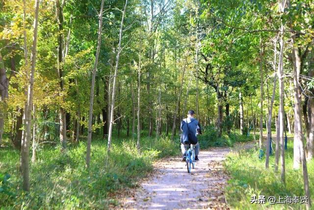 在庄行渔沥，抛一竿清风，钓满眼诗意