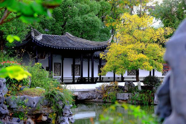 大公图书馆丨秋日里的诗意庭园