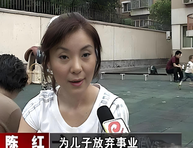 婚内出轨整容医生，偷前夫12亿财产，靠一首歌爆火的她如今怎样？