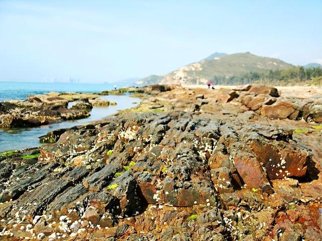 广东惠州4个带娃看海的胜地，你都看过了吗？