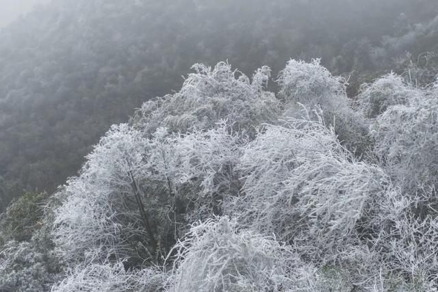 “云赏”怀集的冰雪世界