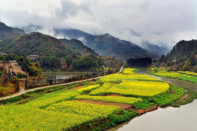 [广西 柳州市鱼峰区白沙镇]