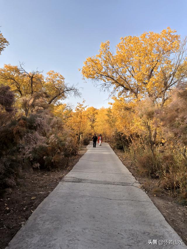 2025环南疆沙漠铁路背包自由行日记(6)---游览巴楚红海胡杨林景区