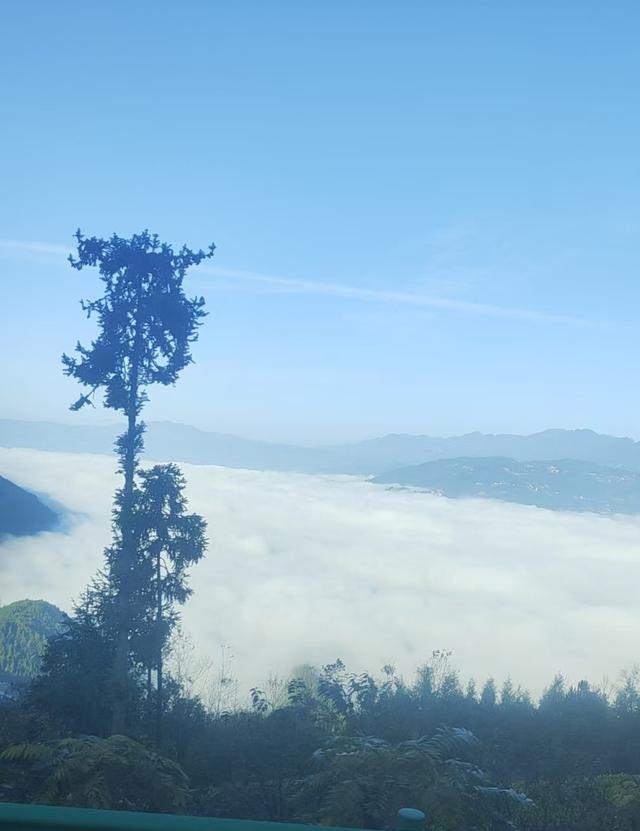 鄂渝行第五天：巴东—宜昌—秭归.屈原故里