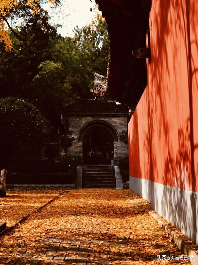 南阳秋色进行时：99%游客错过的6处绝美机位全公开