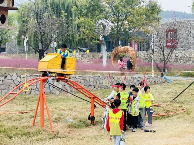 跟着色彩游临沂 | 柿子熟了・田园采摘之旅，承包你的秋日快乐