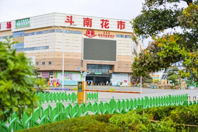斗南花卉市场核心街区“焕新”登场！剑兰雕塑美不胜收
