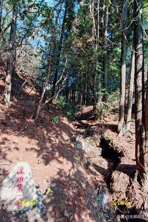 影记 | 衢州钱江源国家森林公园