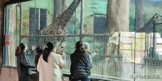 速来！半价特惠！