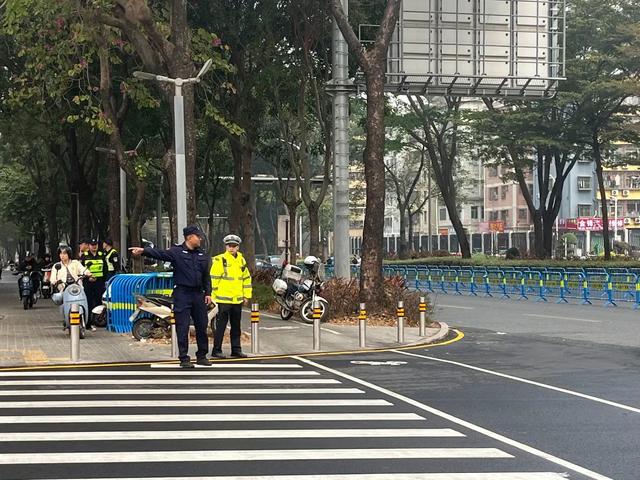 广州哪里买花胶好 2026年广州哪里买花胶好一点