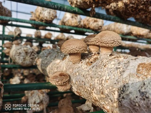 刚刚传来，颍东竟有这么多宝藏地？！今天，好多阜阳人都去了！直击现场......